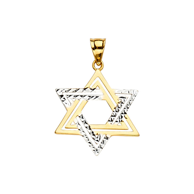 14K Yellow Gold 2Tone Star of David Pendant