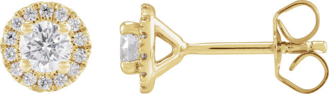 14K Gold Round Lab-Grown Diamond Cocktail-Style Halo-Style Stud Earrings - Yellow Gold
