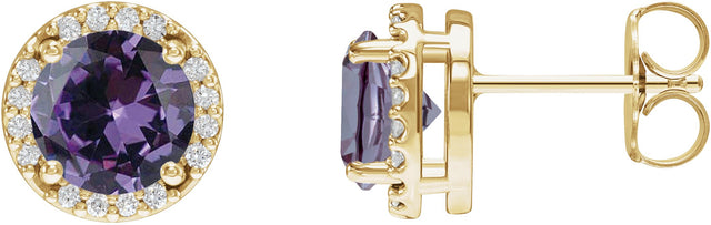 14K Gold Lab-Grown Alexandrite Round Halo-Style Low Stud Earrings - Yellow Gold