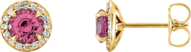 14K Gold Natural Pink Tourmaline Round 4-Prong Halo-Style Earrings – 3.5-5mm Stones - Yellow Gold