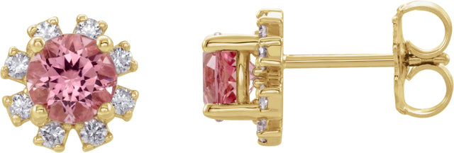14K Gold Natural Pink Tourmaline Round 4-Prong Halo-Style Earrings - Yellow Gold