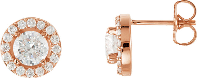 14K Gold Lab-Grown Diamond Round 4-Prong Halo-Style Earrings - Rose Gold