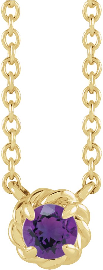 14K Gold Round Natural Amethyst Claw-Prong Rope Necklace - Yellow Gold