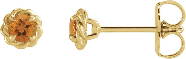 14K Gold Natural Citrine Round 4-Prong Claw Rope Stud Earrings - Yellow Gold