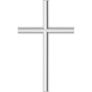 Platinum Cross Necklace or Pendant – 12x7.61mm