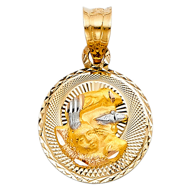 14K Tricolor Gold Baptism of Jesus Medal Pendant on white background - Italian Fashions