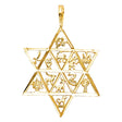14K Yellow Gold 12 Animal Star Pendant