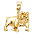 14K Yellow Gold Bulldog Pendant on White Background
