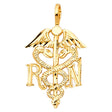 14K Yellow Gold Registered Nurse Caduceus Pendant on White Background
