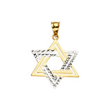 14K Yellow Gold 2Tone Star of David Pendant