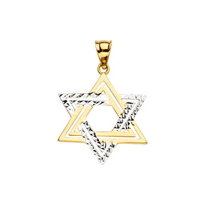 14K Yellow Gold 2Tone Star of David Pendant