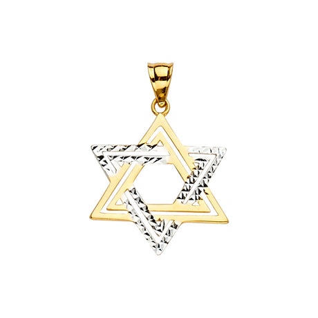 14K Yellow Gold 2Tone Star of David Pendant
