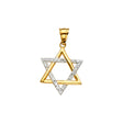14K Yellow Gold 2Tone Star of David Pendant
