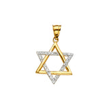 14K Yellow Gold 2Tone Star of David Pendant