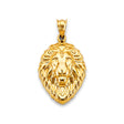 14K Yellow Gold Lion Head Shield Pendant on White Background