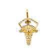 14K Yellow Gold Caduceus Medical Pendant