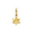 14K Yellow Gold Star of David For Mix&Match Br Pendant