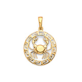 14K Yellow Gold Zodiac Medallion Pendant
