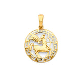 14K Yellow Gold Zodiac Medallion Pendant