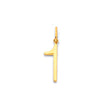 14K Yellow Gold Number Pendant