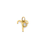 14K Yellow Gold Zodiac Halo Pendant