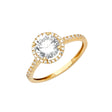 14K Yellow Gold Round Halo Pavé Engagement Ring on White Background