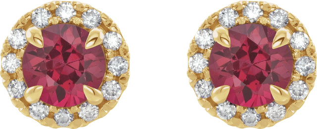 14K Gold Round Natural Pink Tourmaline French-Set Halo-Style Earrings - Yellow Gold - view 4