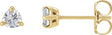 14K Gold Lab-Grown Moissanite Trillion 3-Prong Claw Earrings - Yellow Gold