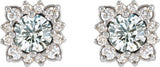 Platinum Natural White Sapphire & Natural Diamond Round Halo-Style Earrings - view 2