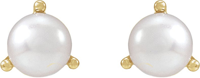 14K Gold Cultured White Seed Pearl Seed Pearl 3-Prong Stud Earrings - Yellow Gold