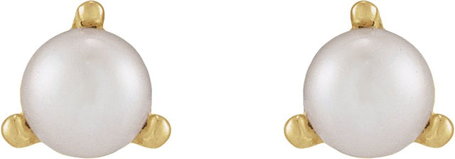 14K Gold Cultured White Seed Pearl Seed Pearl 3-Prong Stud Earrings - Yellow Gold