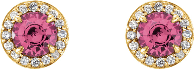 14K Gold Natural Pink Tourmaline Round 4-Prong Halo-Style Earrings – 3.5-5mm Stones - Yellow Gold - view 4