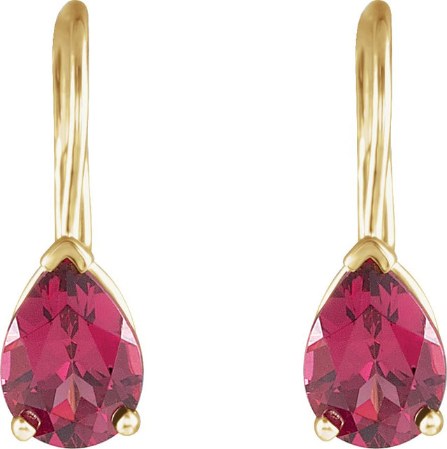 14K Gold Oval Natural Rhodolite Garnet Pear V-End Earrings - view 2