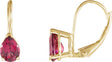 14K Gold Oval Natural Rhodolite Garnet Pear V-End Earrings