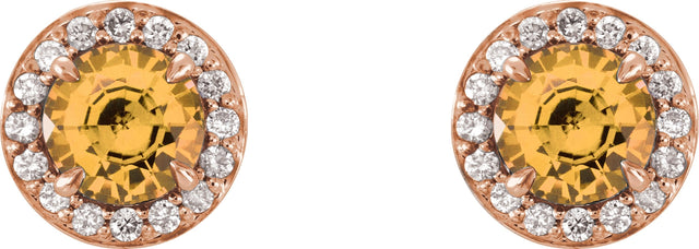 14K Gold Natural Citrine Round 4-Prong Halo-Style Earrings – 3.5-5mm Stones - Rose Gold - view 4