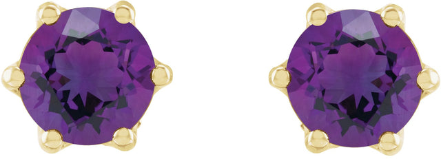 14K Gold Natural Amethyst & Natural Diamond Round 6-Prong Accented Crown Stud Earrings - Yellow Gold - view 2