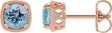 14K Gold Natural Aquamarine Round 4-Prong Earrings - Rose Gold