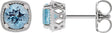 Platinum Natural Aquamarine Round 4-Prong Earrings