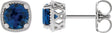Platinum Natural Blue Sapphire Round 4-Prong Earrings