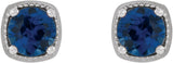 Platinum Natural Blue Sapphire Round 4-Prong Earrings - view 2