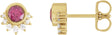 14K Gold Round Natural Rhodolite Garnet & Natural Diamond Accented Earrings II - Yellow Gold
