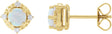 14K Gold Round Lab-Grown White Opal & Natural Diamond Halo-Style Birthstone Earrings - Yellow Gold