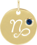 14K Gold Round Natural Blue Sapphire Zodiac Disc Necklace or Pendant - Yellow Gold
