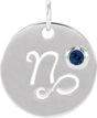Platinum Round Natural Blue Sapphire Zodiac Disc Necklace or Pendant