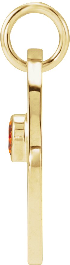 14K Gold Round Natural Spessartite Garnet Zodiac Disc Necklace or Pendant - Yellow Gold - view 2