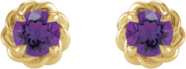 14K Gold Natural Amethyst Round 4-Prong Claw Rope Stud Earrings - Yellow Gold - view 4