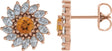 14K Gold Natural Citrine & Natural Diamond Round 7-Prong Halo-Style Earrings - Rose Gold