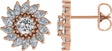 14K Gold Natural White Sapphire & Natural Diamond Round 7-Prong Halo-Style Earrings - Rose Gold