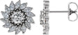 Platinum Natural White Sapphire & Natural Diamond Round 7-Prong Halo-Style Earrings