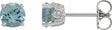 Platinum Natural Aquamarine Round 4-Prong Stud Earrings